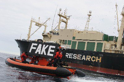 oceanCRIES's tweet image. #Japan to resume 'research' #whaling by end of year at earliest
japantimes.co.jp/news/2015/11/2…
#NOTscience #whales #oceans