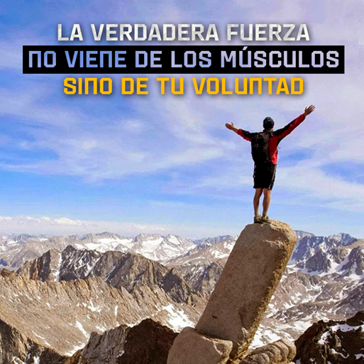 gaterpillar's tweet photo. #BuenViernes https://t.co/13P8Ul6uzL