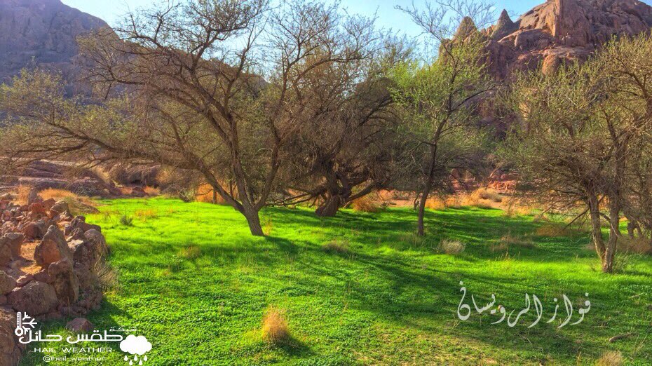 ����� ���� �������