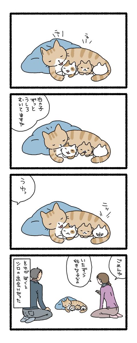 ねこようかい Togetter ねこようかい Togetter
