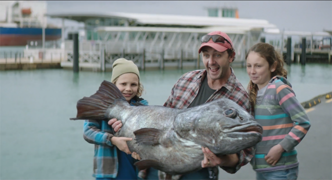 shotscreative's tweet photo. A cast of passionate, poetic animals star in this amusing ad from @SaatchiNZ: https://t.co/TriODfWFa9 <reg> https://t.co/OQhN1xj1RH