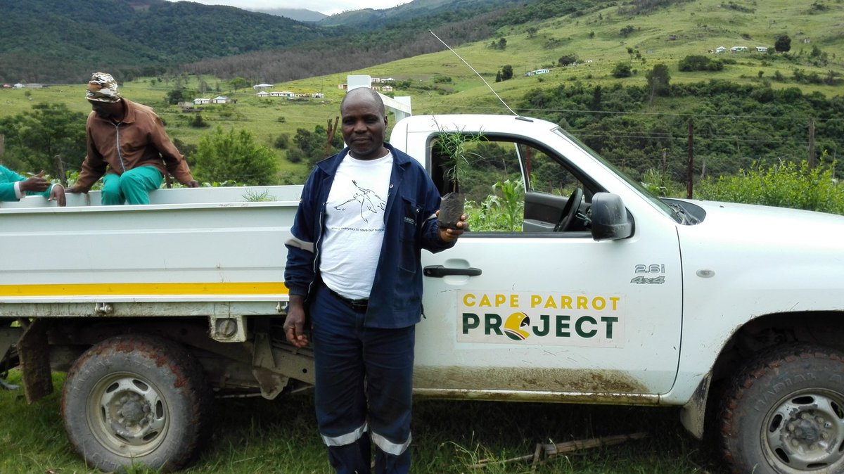 Spent yesterday and today purchasing trees from community micro-nurseries...