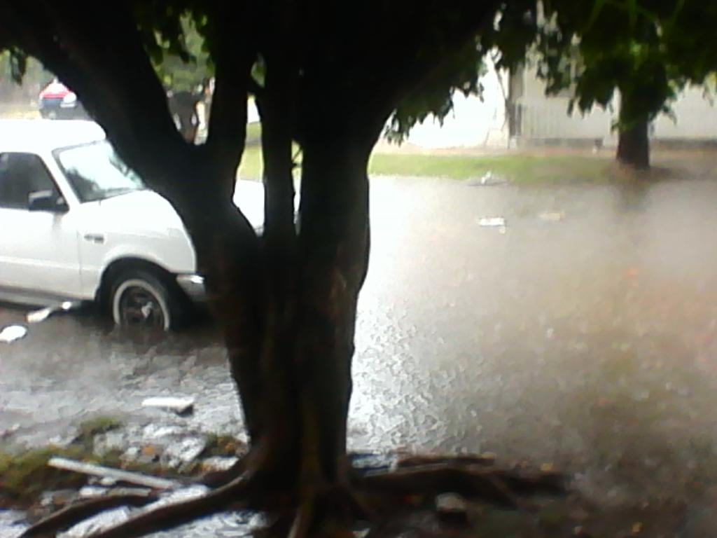 View image on Twitter