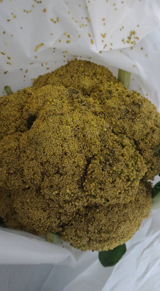 2 5 14日 ねこがすき展 がイオンモール直方で開催 インスタグラムフォロワー2 8万人 2日前に買ったブロッコリー を茹でて食べようと思って袋を見たら 見たことがない黄色い花が満開になってた 触るとボロボロ落ちる ブロッコリーが満開 2 5 14日 ねこがすき展 がイオンモール直方で開催 インスタグラムフォロワー2 8万人 2日前に買ったブロッコリー を茹でて食べようと思って袋を見たら 見たことがない黄色い花が満開になってた 触るとボロボロ落ちる ブロッコリーが満開