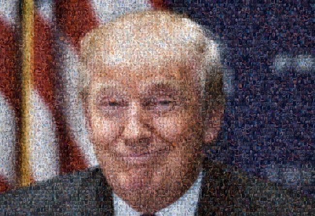 Look! A pic of Donald Trump made of 500 #dicks!