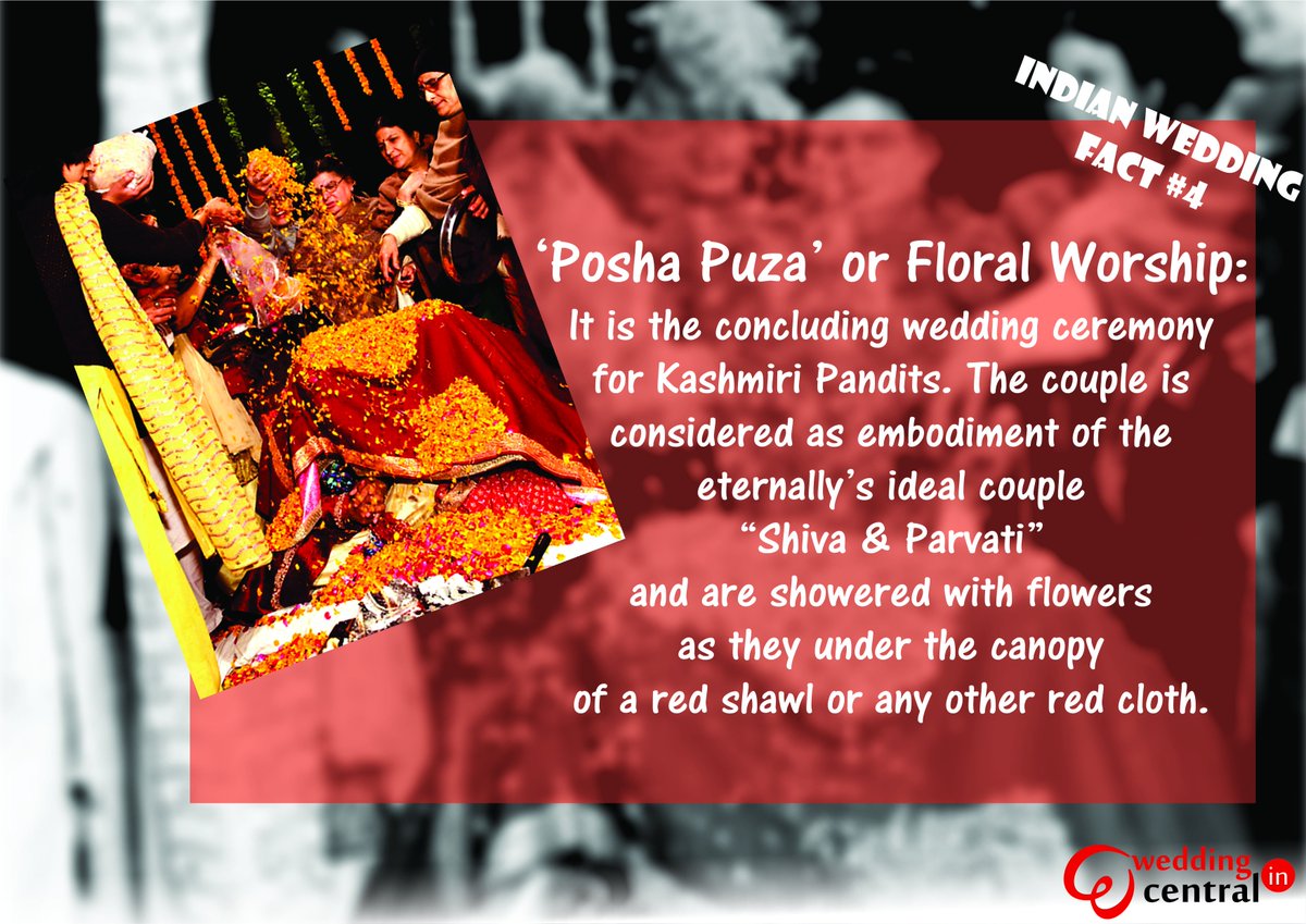 weddingcentral_'s tweet photo. Wedding fact 
#poshapuza #kashmiripandits #weddingtraditions #indianwedding #weddingfacts
https://t.co/yGuNM4v97l https://t.co/92dZoSyFNc