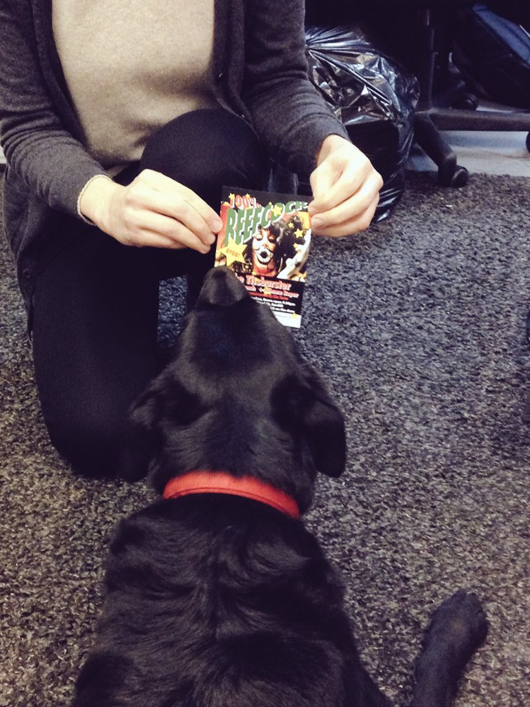 Even Nox, the <a href="/CCQmag/">CCQ Mag</a> office dog, is excited about <a href="/100Beefcock/">100% Beefcock</a> <a href="/WolfPunchUK/">WolfPunch</a> @roperama <a href="/theabacusrooms/">The Abacus</a> tomorrow! 🍻🎸📸