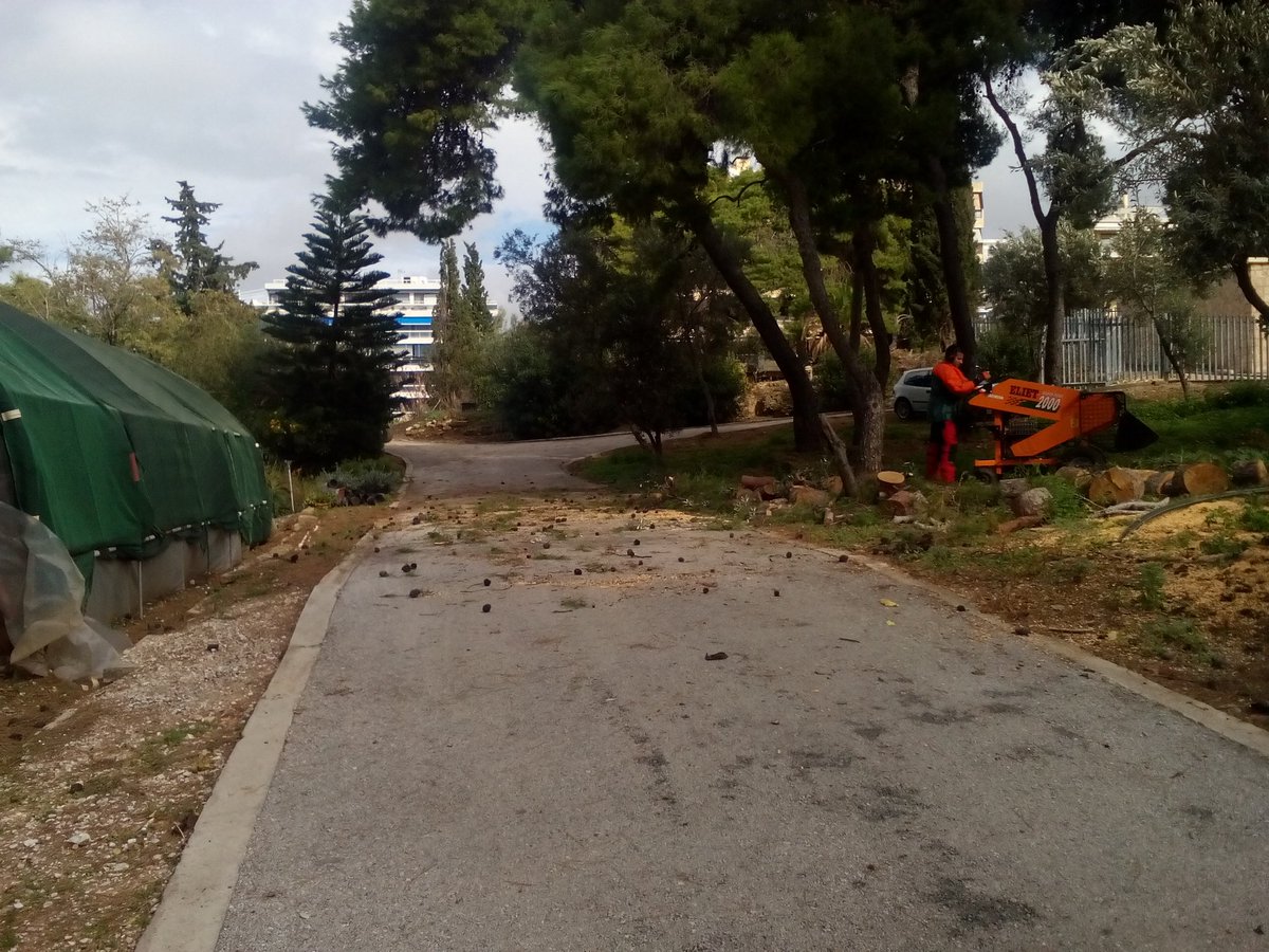 phaleron1964's tweet photo. The work site @Paleron is clean a nd safe after the response from #treeteamgr @skilitsis @CWGC  @phaleron1964 https://t.co/Fau5tlo1Kt