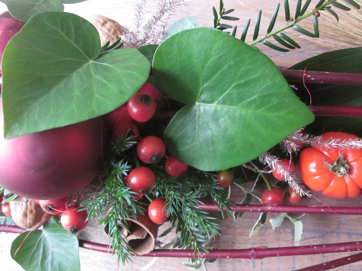 Fijn zo'n bijzondere #klimop in de tuin, dit #blaadje zegt #ikhouvandekerst