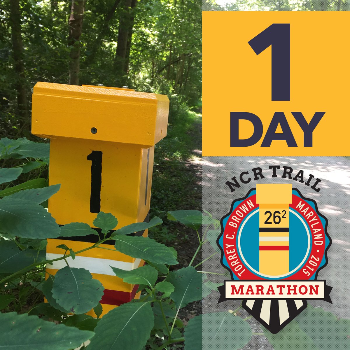 NCR Trail Marathon tweet media