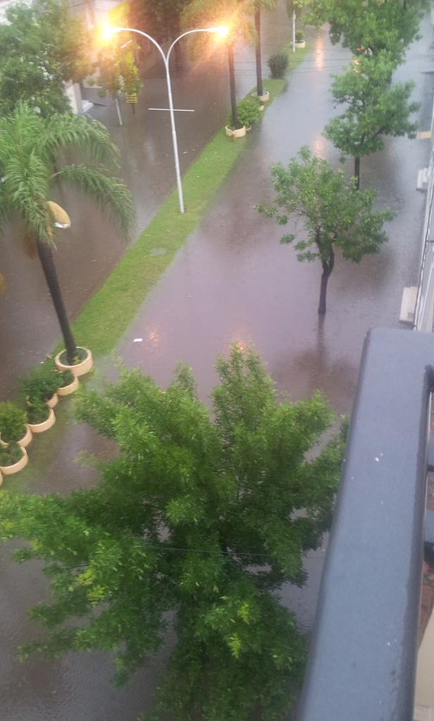 View image on Twitter