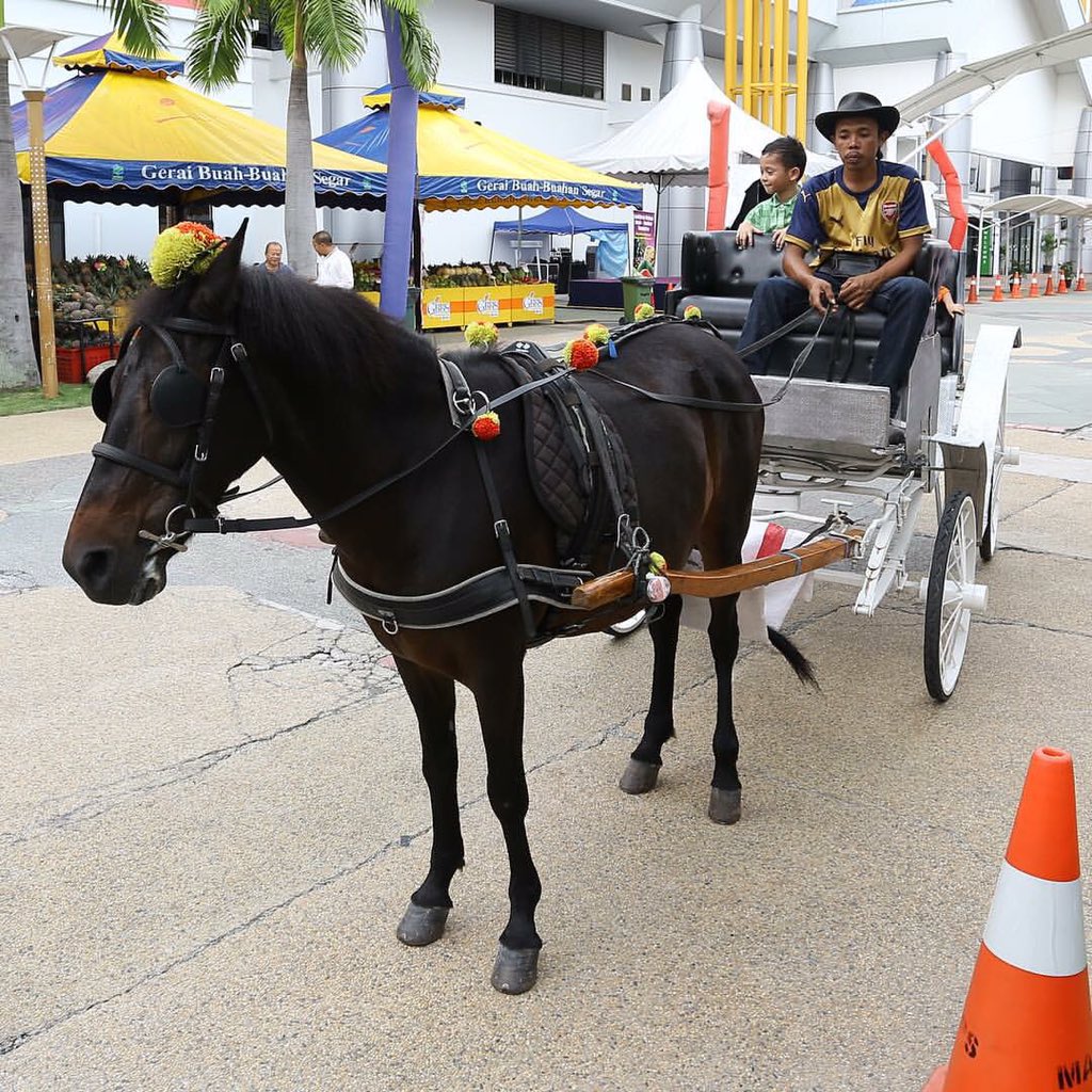 mardimalaysia's tweet photo. Industri agro pelancongan unjur kembang 6% menjelang 2020 - @shaberyc #MIATE2015 @hmetromy https://t.co/hJoaQiyCwk https://t.co/fWzMETKrTr