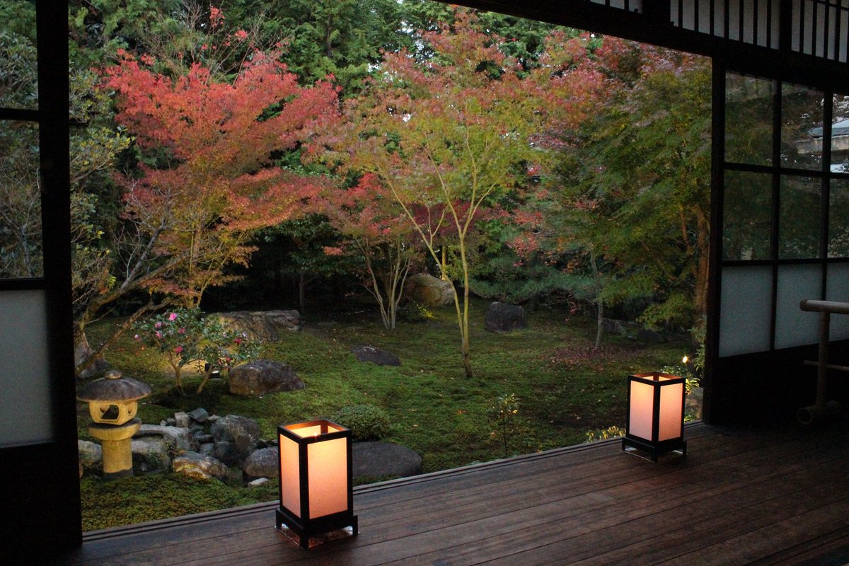 勝林寺 本日の嘯月庭です まだまだ紅葉も見頃となっております 特別拝観もあと3日です 皆様のご参拝お待ちしております 限定朱印 紅葉 京都紅葉 ライトアップ 京都東福寺塔頭勝林寺 T Co Lahf2729cw T Co 8vn9n2c7gn