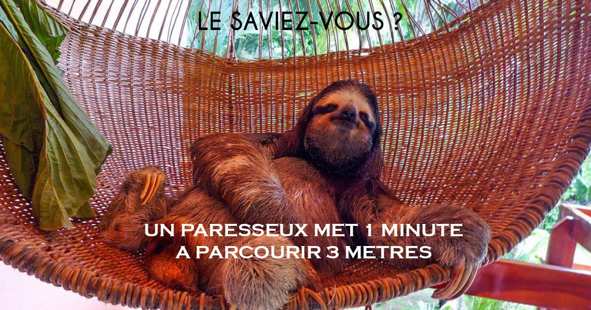 Marche_animaux's tweet photo. Vous déculpabiliser ! Profitez du week-end ! #LaMarcheDesAnimaux #CestPasFini https://t.co/GzlxUXAWbM