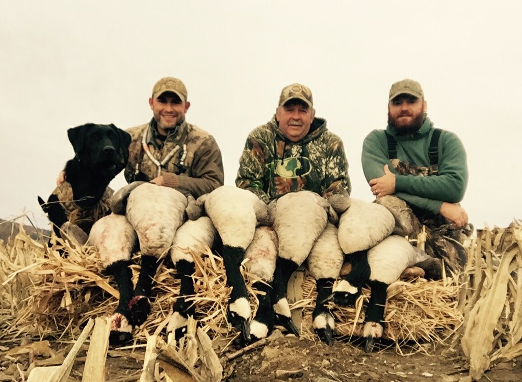 DutchessCoDU's tweet photo. #OptOutside #tamarack #millbrook #UpperLowerLakes #WMA #CantonNY #wetlands #labs @DucksUnlimited @NYSDEC #duckstamp https://t.co/ZXX24dXYhS