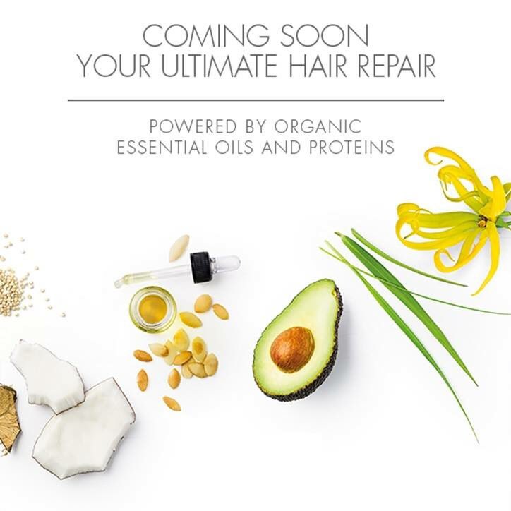 Keune_Yannick's tweet photo. Repair Damaged Hair with #Keune #SoPure Recover. #natural #haircare #Coconut #quinoa #avocado Available next week! https://t.co/tdDRsHZiWB