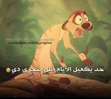 fatmaali528's tweet photo. عااااااا https://t.co/guFUV1l0l2