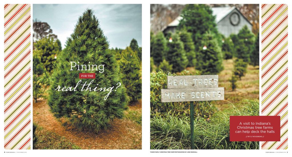 ErinLAlbert's tweet image. The latest edition of @FarmIndiana has an awesome article on #ChristmasTreeFarms! Via @issuu