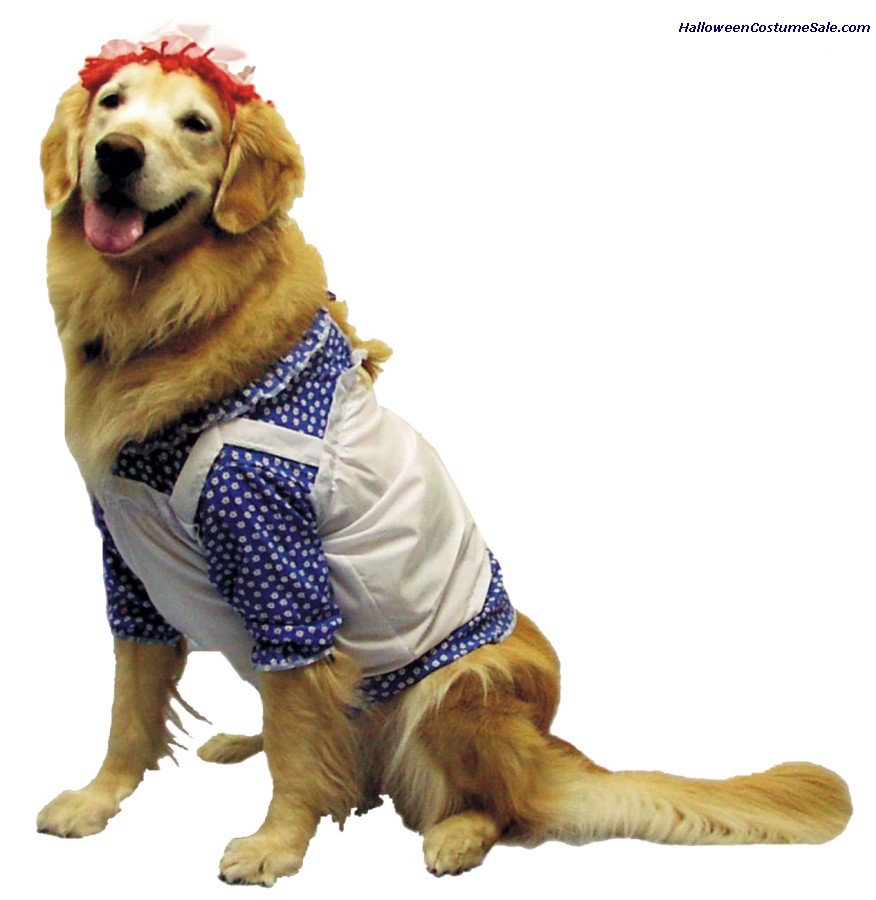 #Buy #raggedyann #petcostume . Amazing #frill design 

Price $8.95