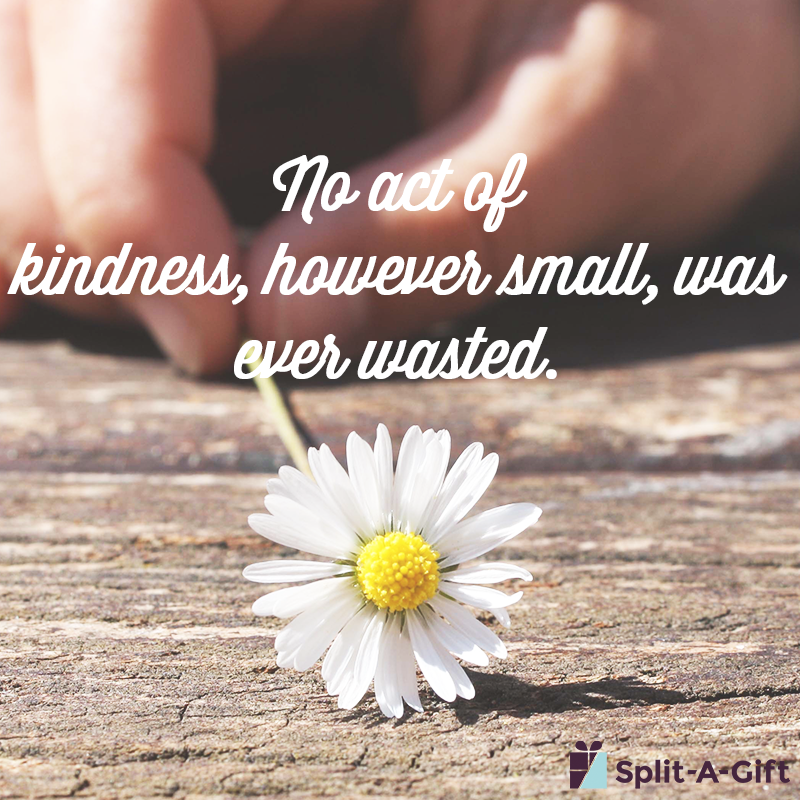 Splitagift's tweet photo. Het zijn de kleine dingen die het doen. #splitagift #kindness https://t.co/kbAcWftM3q