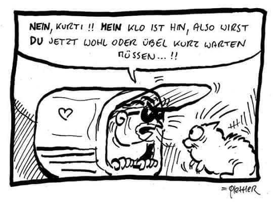 Der_Ferdl's tweet photo. Folgt dem Ferdl auf Facebook!! https://t.co/DPyuspOXEj #Metal #Cartoon #Fun #katze https://t.co/Ip9vW91I45