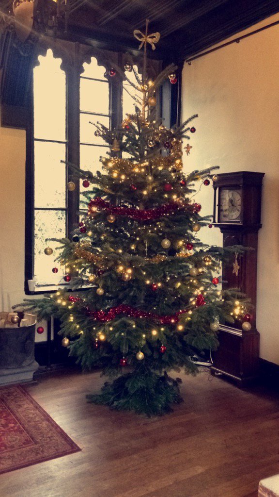 Look at our fabulous tree in the entrance hall