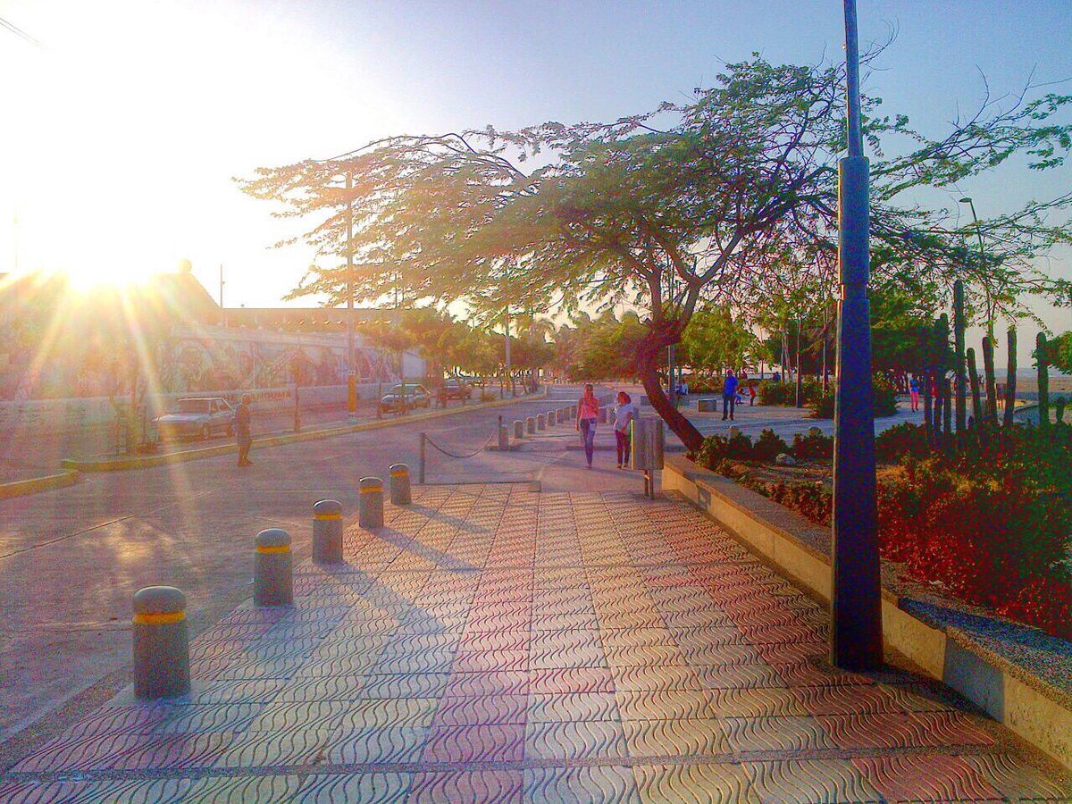 Publi_Red's tweet photo. Buenos días #Riohacha 🌴🌰 #PubliRed https://t.co/Gb2vs5wOVF