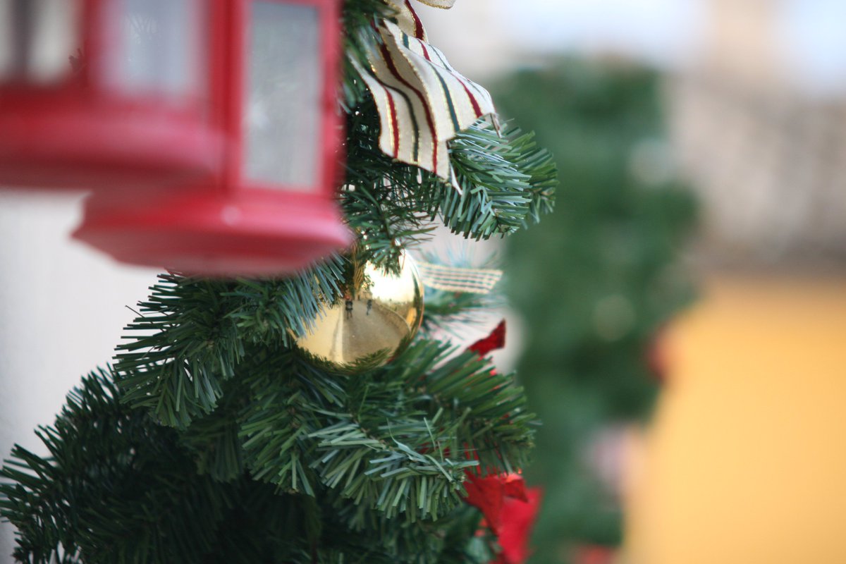 marchesitrova's tweet photo. A #candelara si unisceil #natale con la #festadellecandele
https://t.co/MLLhclrO7m
#marche #italia #turismo #mercati https://t.co/gikkuRuH3f