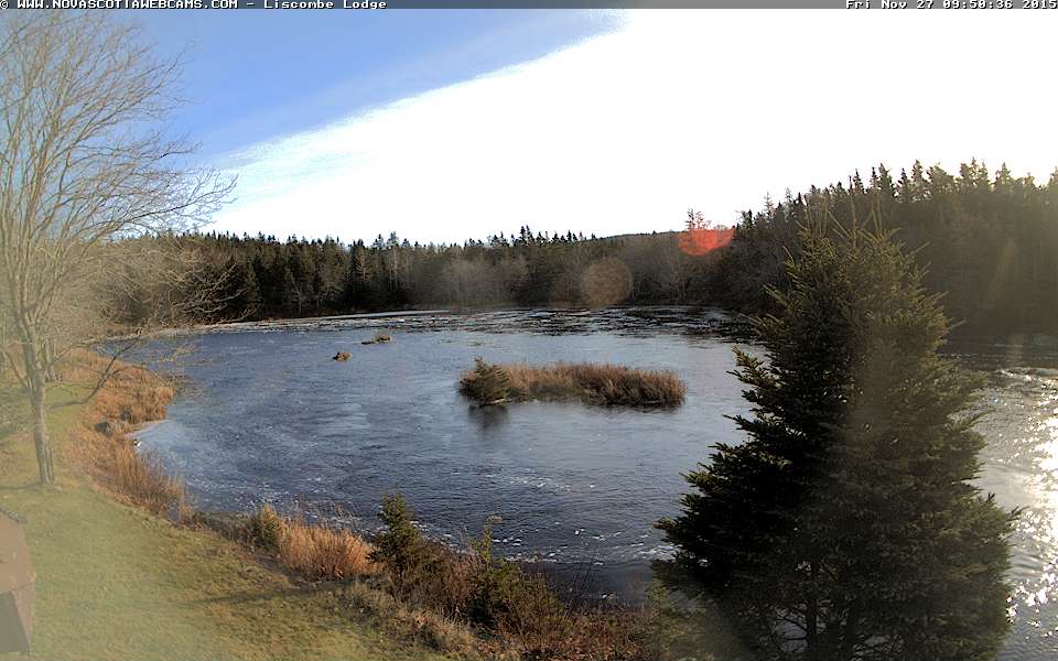 nswebcams's tweet photo. Live from the lovely @LiscombeLodge! https://t.co/0qxCiYK7CQ #Liscomb #NovaScotia https://t.co/6jO0lu5jEU