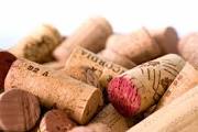 65fen's tweet photo. #factfriday: A “cork-tease” constantly talks about the wine he or she will open but never does #winejokes #notwithus https://t.co/EPYLBktMtK