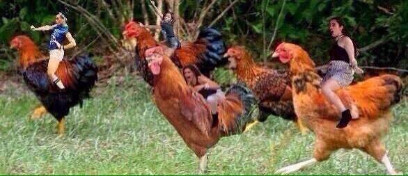bishopoem's tweet photo. #Run5HRun JAJAJAJA BASTA 😂😂😂 #MTVStars Fifth Harmony #VideoMTV2015 Fifth Harmony https://t.co/OdvFA2JmQN