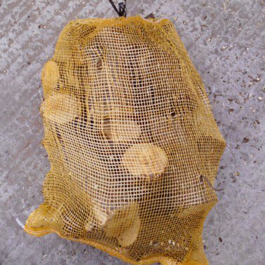 Springfields1's tweet image. Netted logs 3 for £9.99 including VAT