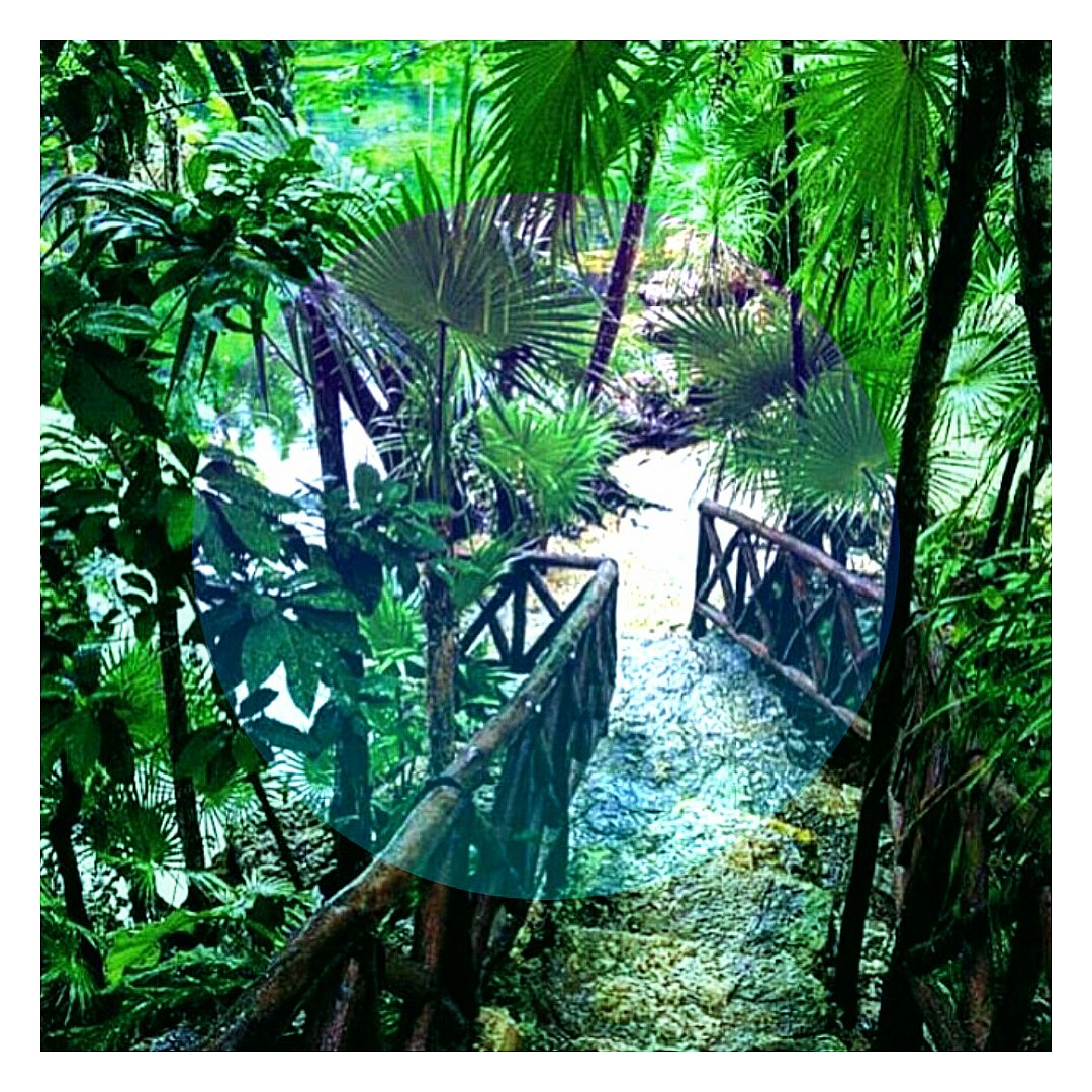 wannabewander's tweet photo. 🏊
#yucatan #yucatán #yucatanpeninsula #mexico #cenote #denotes #tropical #travel #adventure #explore #wanderlust https://t.co/OGnNnxVnO0