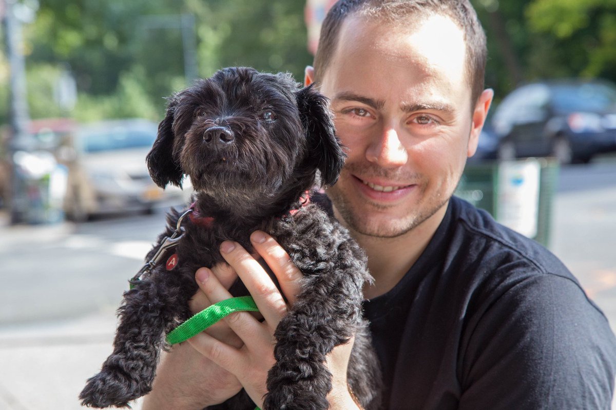 Metro US tweet media