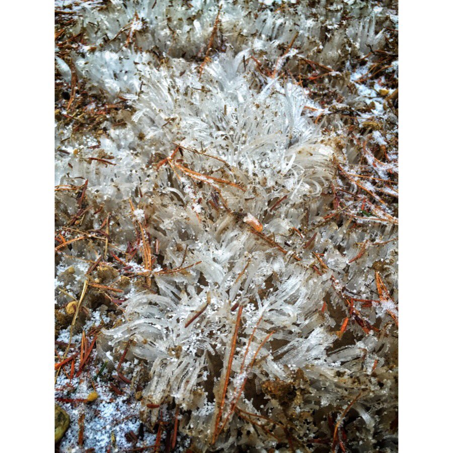 laura_livesfast's tweet photo. Appreciate the finer things in life.
#reallife #living #nostress #nature #smallwonders #optoustide #blackfriday https://t.co/WXGWHbwFh8