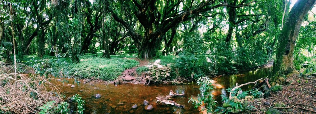 juliadavisf's tweet photo. our adventure yesterday https://t.co/WiALLipJX9