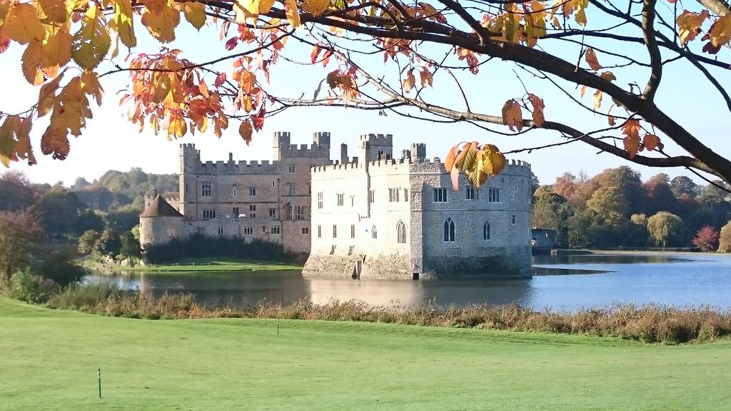 LeedsCastleGolf's tweet photo. Full field of 45 @LeedsCastleGolf members taking the '3 club challenge ' on Dec 15 #clubgoingplaces #clubfeel https://t.co/jYpxg8GHid