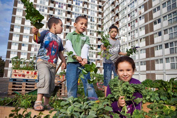 Voor wie nog niet genoeg redenen had om te #tuinieren ;) buff.ly/1Na0g4x