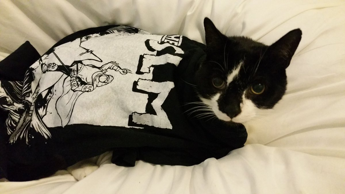 LoudNoisesMag's tweet photo. Murphy is joining in #tshirtday he loves @Svalbardband and @TheSLMUK https://t.co/JTQXMEGAlY