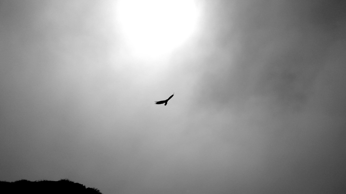 ThereIsNoRest's tweet image. There Is No Rest is now available for purchase: thereisnorest.com/now-available-…

#Fiction #Anthology #ebook #purchase