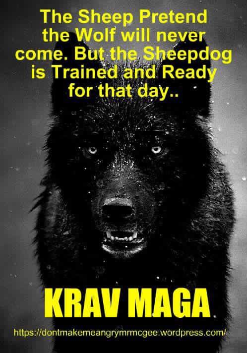 SC_ELS's tweet image. @ChasKravMaga @NashvilleKM @kmwkravmaga train hard &amp;amp; leave it all on the mat, and you&apos;ll be ready for anything #KM