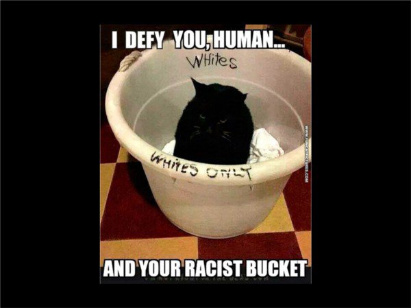 How We Can Overcome Prejudice bit.ly/1XwcFpn #LOA