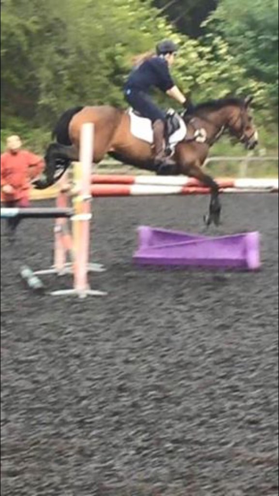 OCEventing's tweet photo. Can't wait for my little baba to come back into work from her holidays next weekend #missingthatfeeling #flyingpone https://t.co/AnOpWETjRt