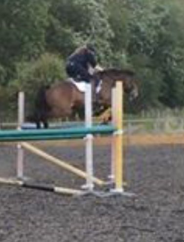 OCEventing's tweet photo. Can't wait for my little baba to come back into work from her holidays next weekend #missingthatfeeling #flyingpone https://t.co/AnOpWETjRt