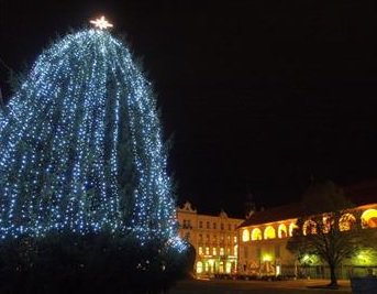 Feel Slovenia tweet media
