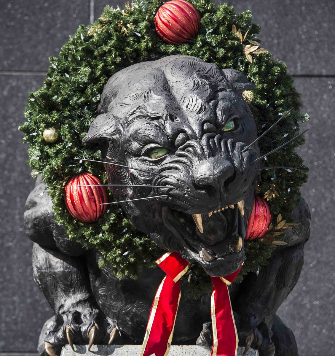 Panthers's tweet photo. 'Tis the season! https://t.co/z2Z1NTYPQc