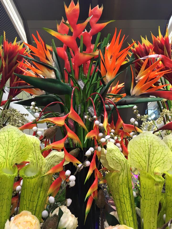 TurnersFlorists's tweet photo. Croton plant.  #flowers #flowershop #flowerslovers #florist #flowerslovers #orange #amaryllis #bouquet #autumn https://t.co/P3gn7LeYmA