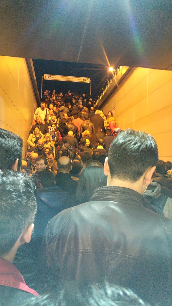Metrobüse binebilene aşk olsun uzun çayırın an itibarile son hali