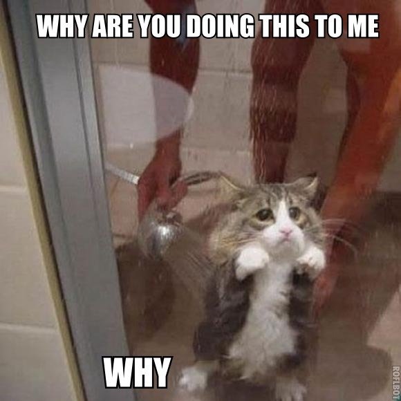 Ben_Hall's tweet photo. Writing cool client-side features has downsides... #javascript #easyproblems #hardsolutions https://t.co/5gRQ3Y2kG5