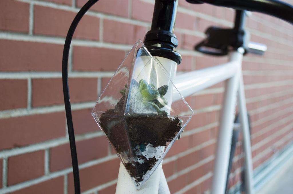 ASUDesignStore's tweet image. Rachel will be selling these awesome planters that attach to your bike! #AppState #boone